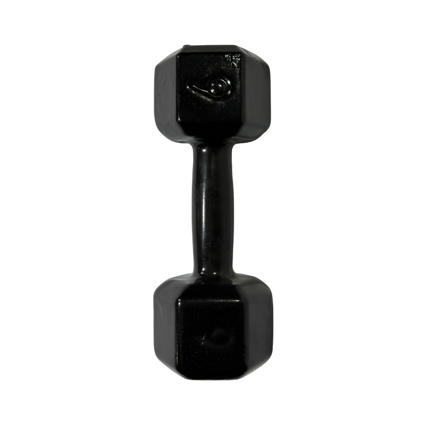 Halteres Sextavados de Ferro Fundido Emborrachados 9kg
