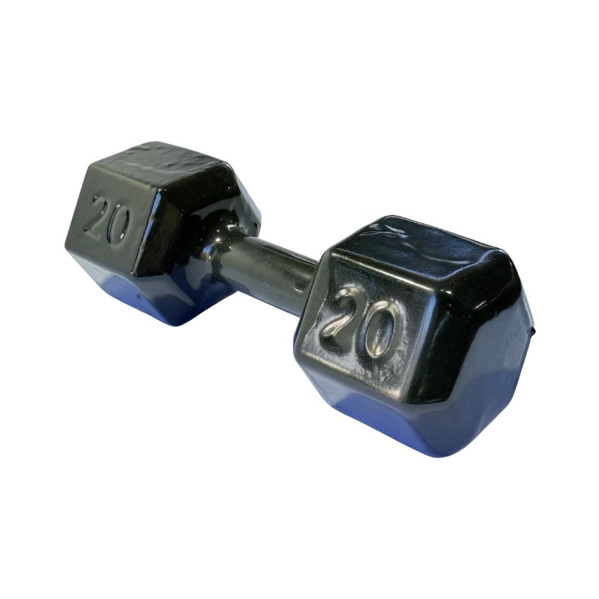 Halteres Sextavados de Ferro Fundido Emborrachados 20kg