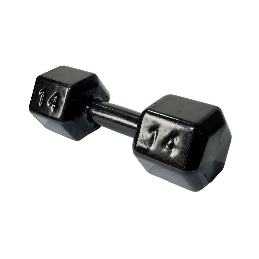 Halteres Sextavados de Ferro Fundido Emborrachados 14kg