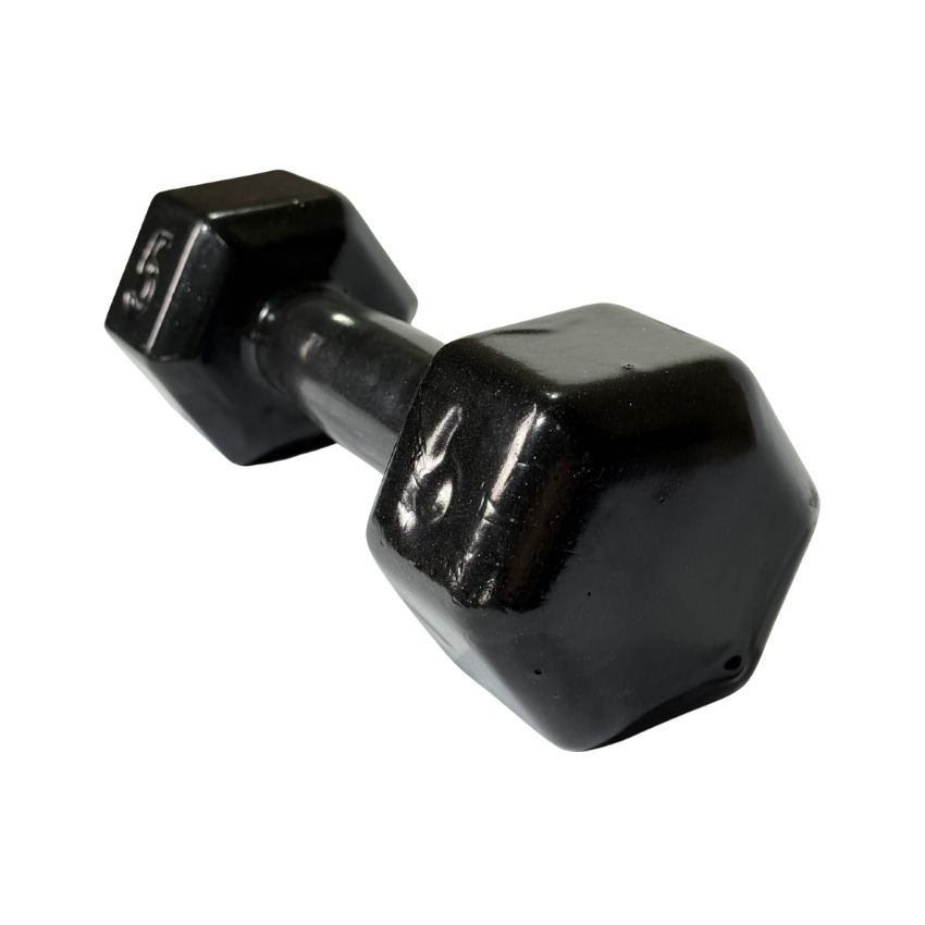 Halteres Sextavados de Ferro Fundido Emborrachados 6kg