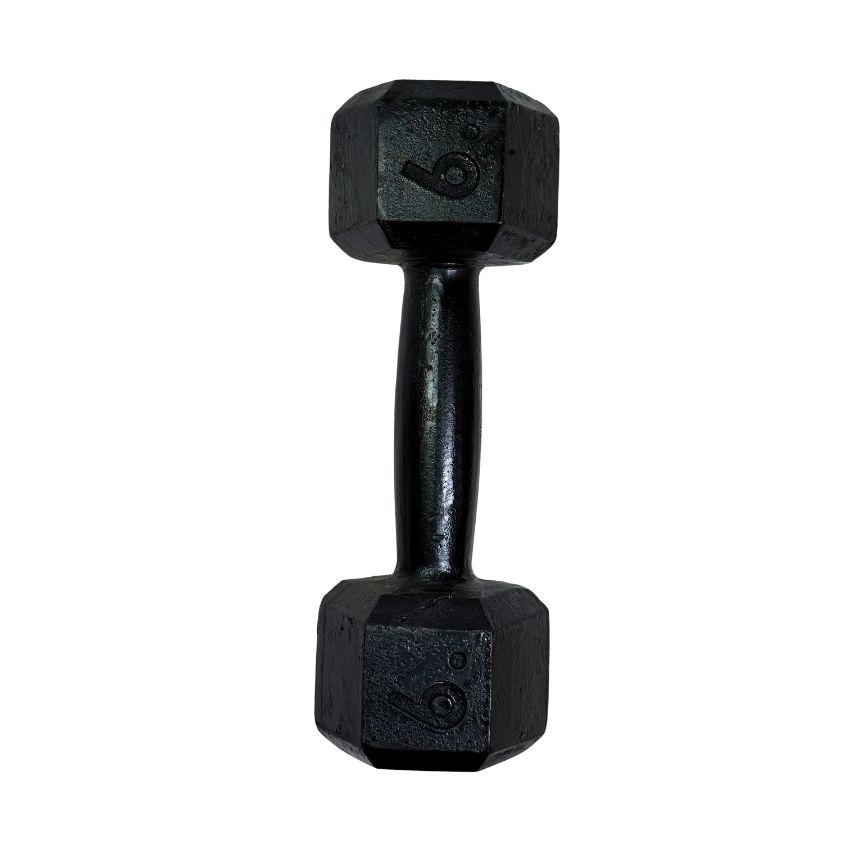 Halteres Sextavados de Ferro Fundido Pintados 9kg