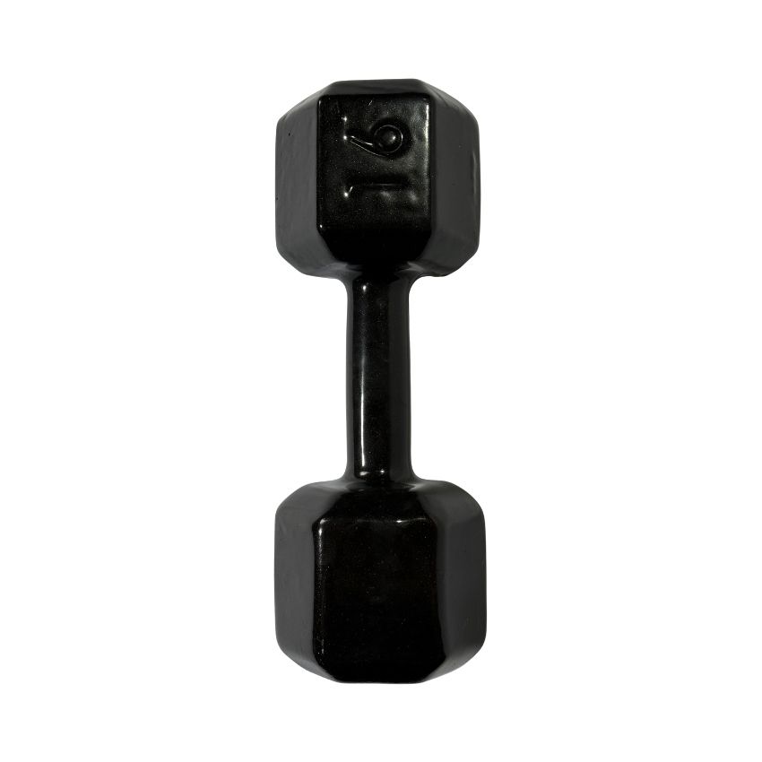 Halteres Sextavados de Ferro Fundido Emborrachados 16kg