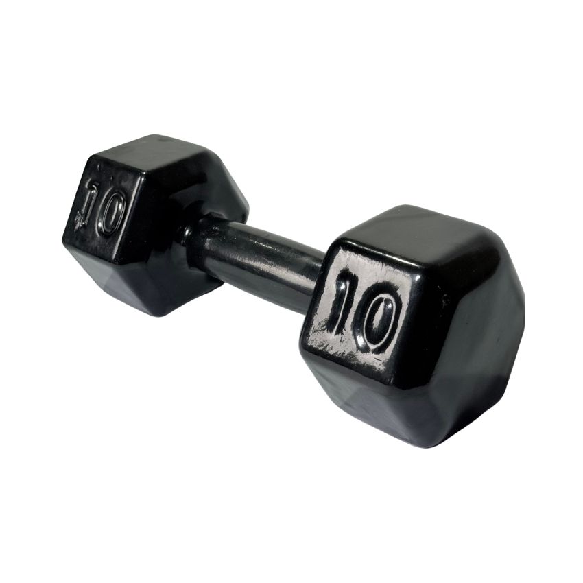 Halteres Sextavados de Ferro Fundido Emborrachados 10kg