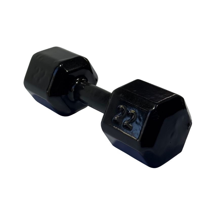 Halteres Sextavados de Ferro Fundido Emborrachados 22kg