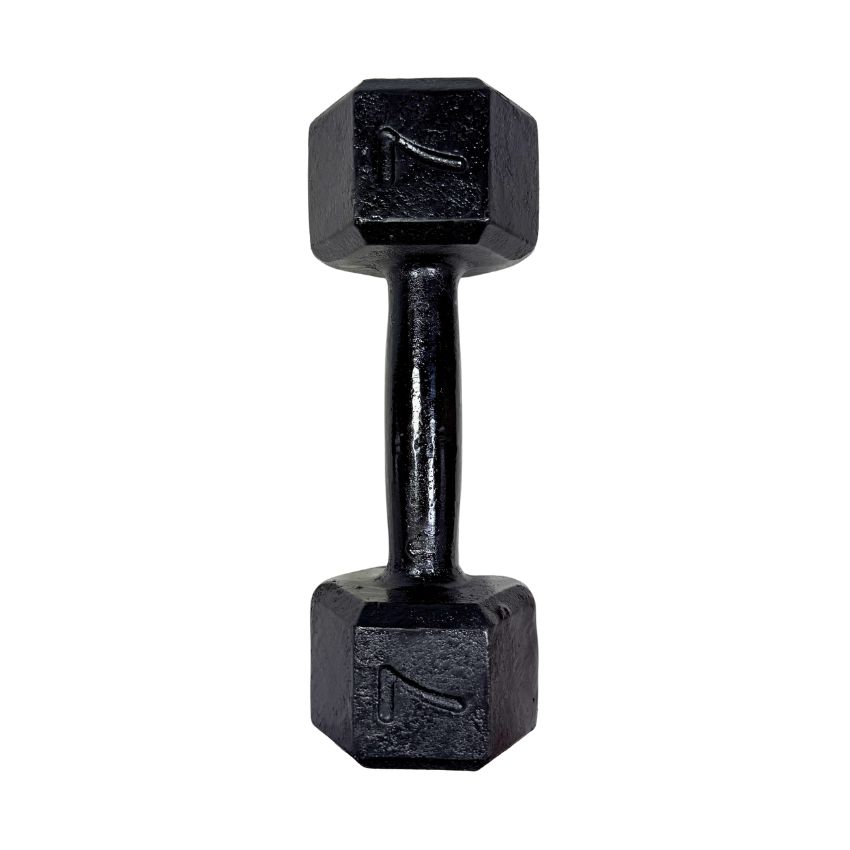 Halteres Sextavados de Ferro Fundido Pintados 7kg