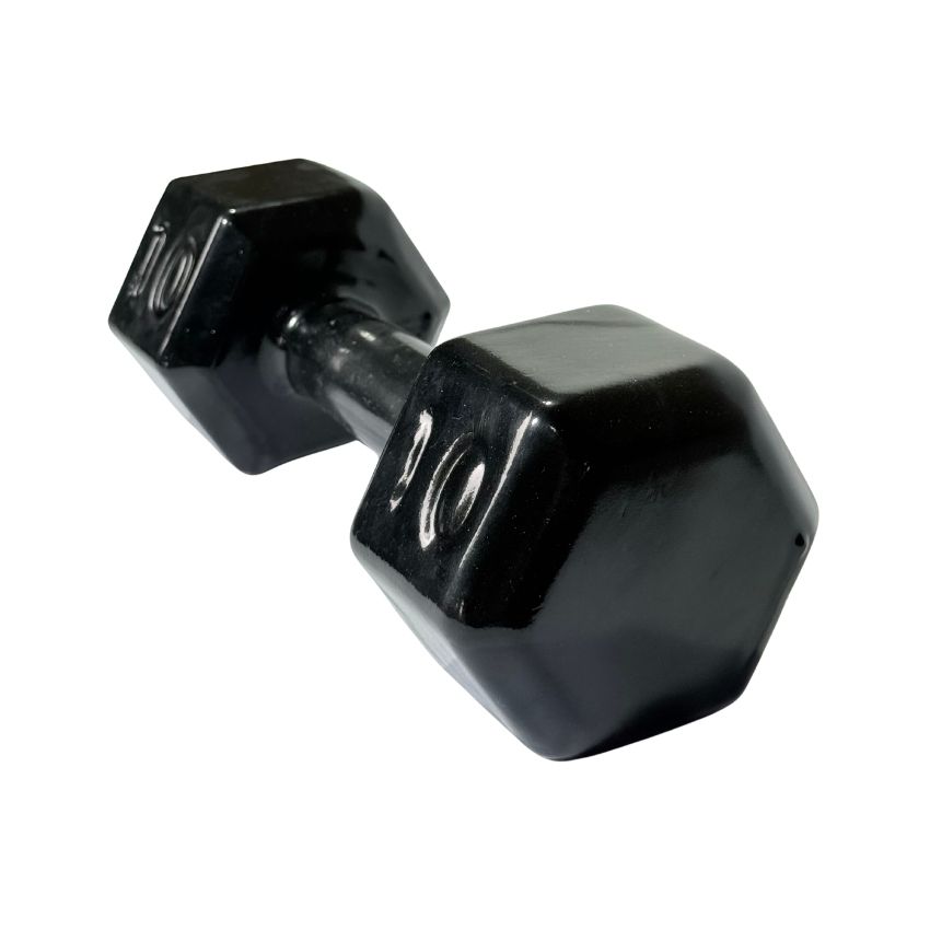 Halteres Sextavados de Ferro Fundido Emborrachados 10kg
