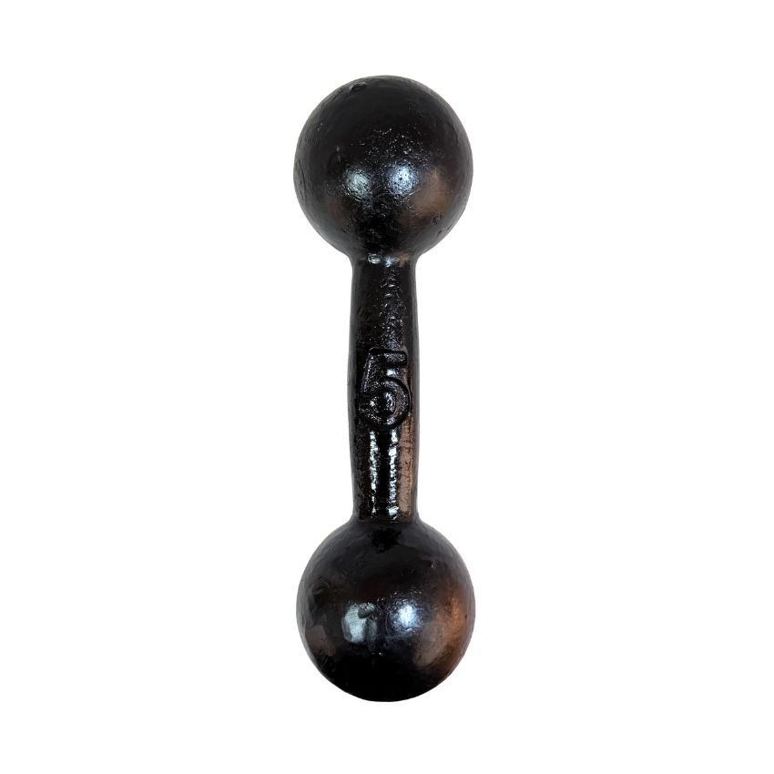 Halteres Bola de Ferro Fundido Pintados 5kg