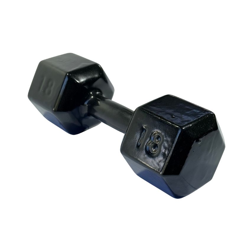 Halteres Sextavados de Ferro Fundido Emborrachados 18kg