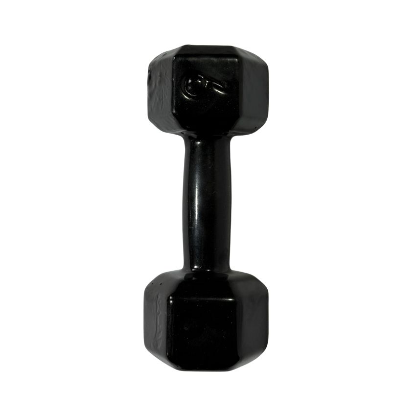 Halteres Sextavados de Ferro Fundido Emborrachados 6kg