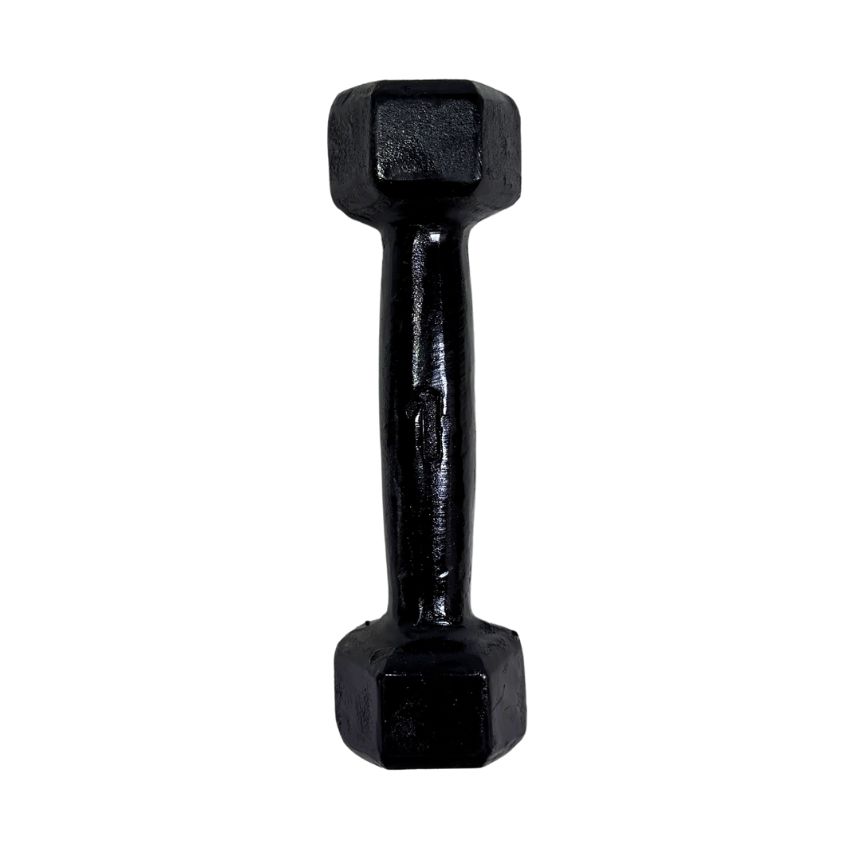 Halteres Sextavados de Ferro Fundido Pintados 1kg
