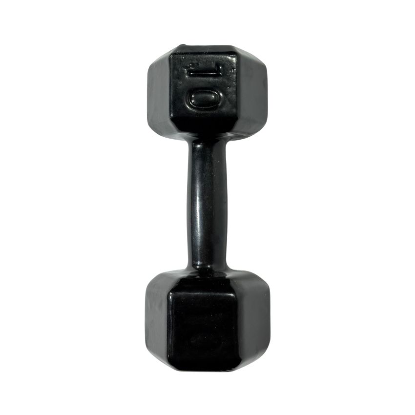 Halteres Sextavados de Ferro Fundido Emborrachados 10kg