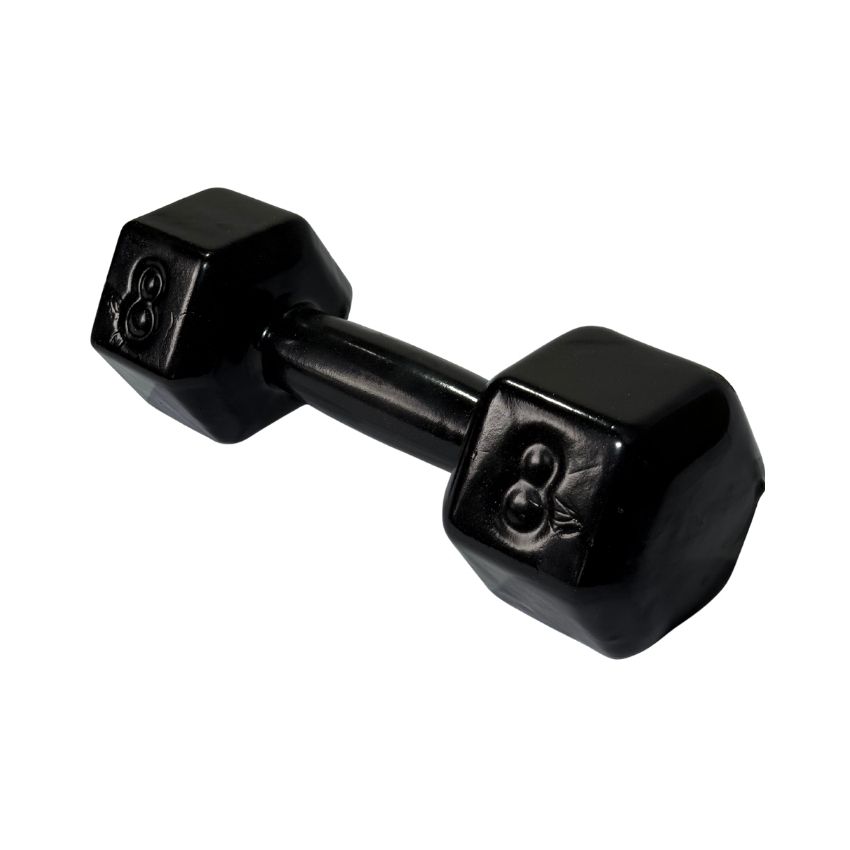 Halteres Sextavados de Ferro Fundido Emborrachados 8kg