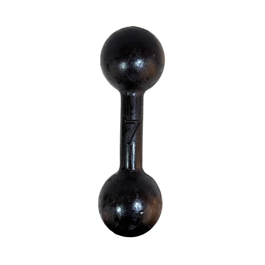 Halteres Bola de Ferro Fundido Pintados 7kg