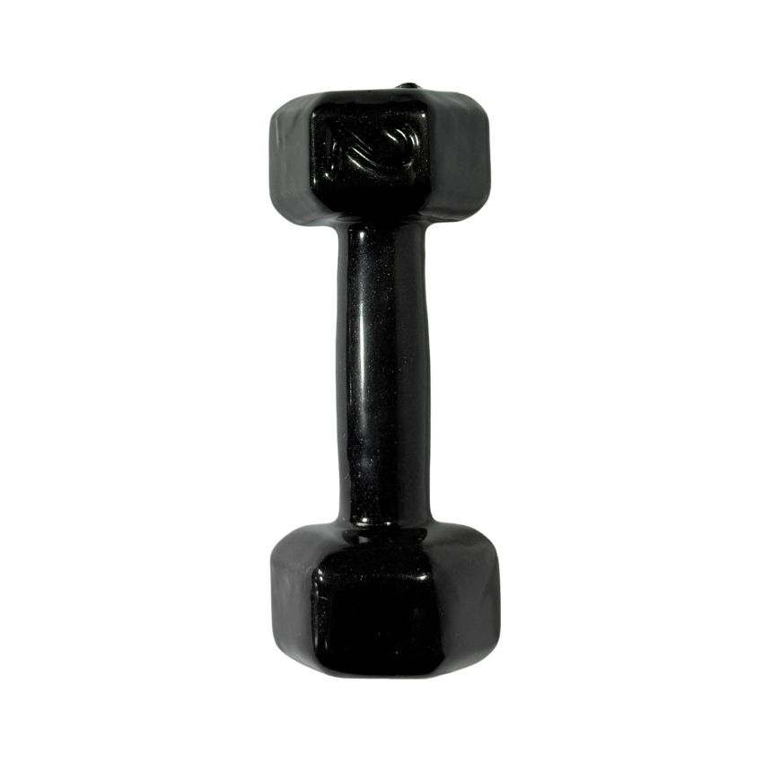 Halteres Sextavados de Ferro Fundido Emborrachados 2kg