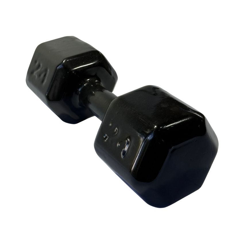Halteres Sextavados de Ferro Fundido Emborrachados 24kg