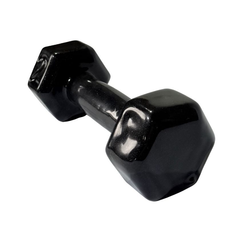 Halteres Sextavados de Ferro Fundido Emborrachados 2kg