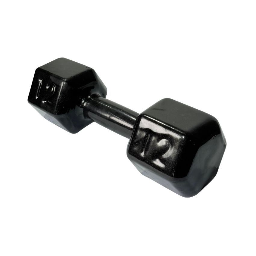 Halteres Sextavados de Ferro Fundido Emborrachados 12kg