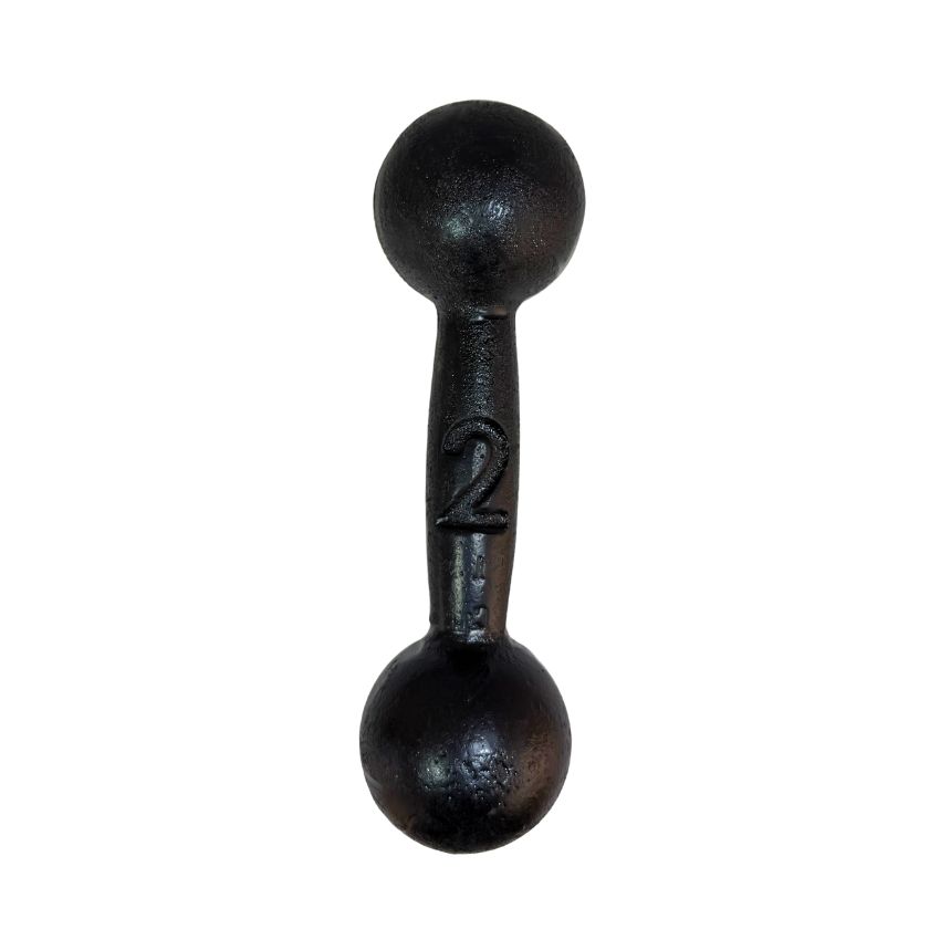 Halteres bola de Ferro Fundido Pintados 2kg