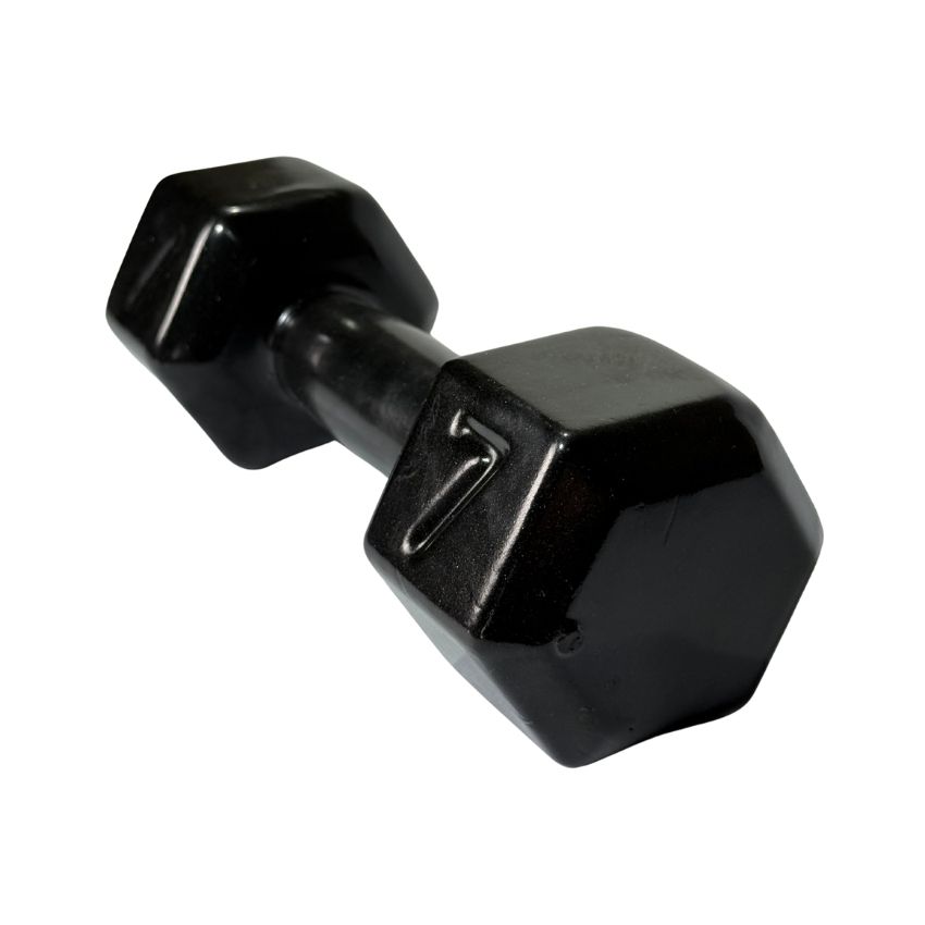 Halteres Sextavados de Ferro Fundido Emborrachados 7kg