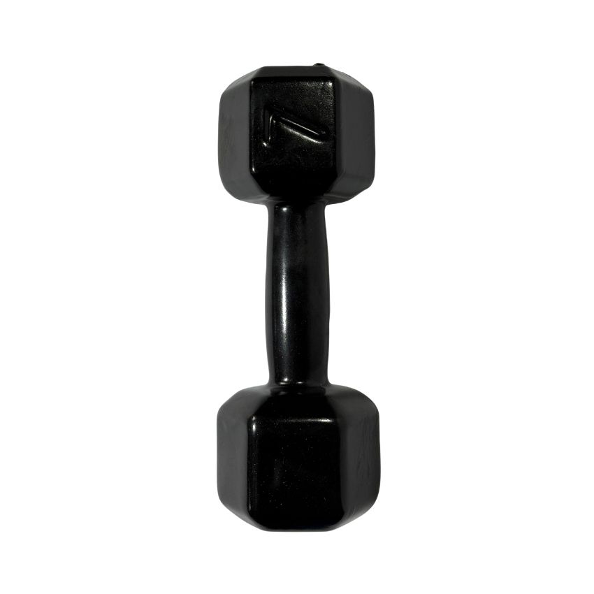 Halteres Sextavados de Ferro Fundido Emborrachados 7kg