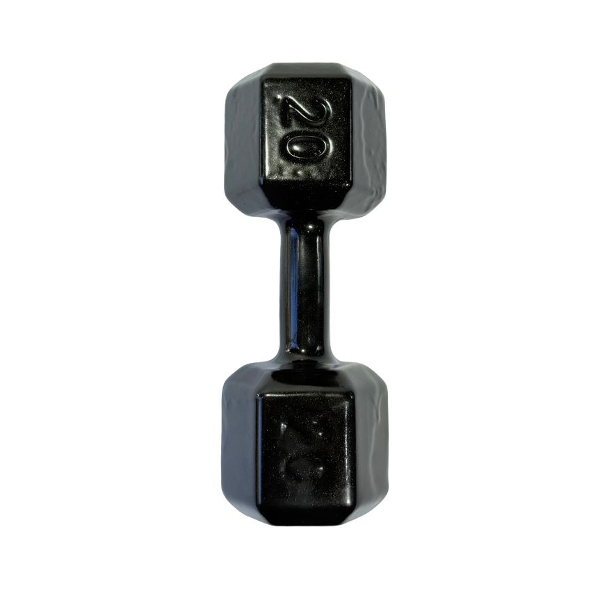 Halteres Sextavados de Ferro Fundido Emborrachados 20kg