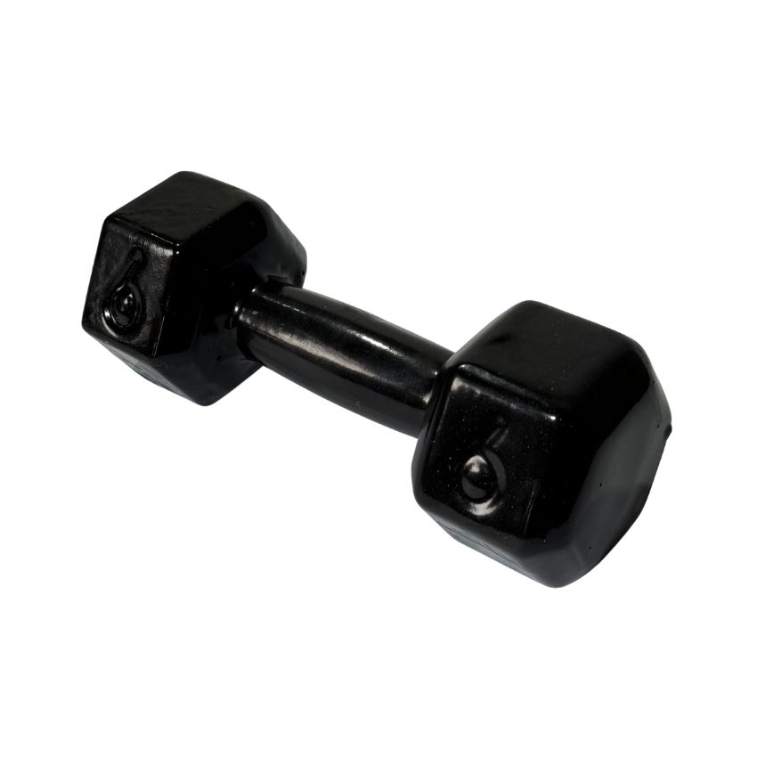 Halteres Sextavados de Ferro Fundido Emborrachados 6kg