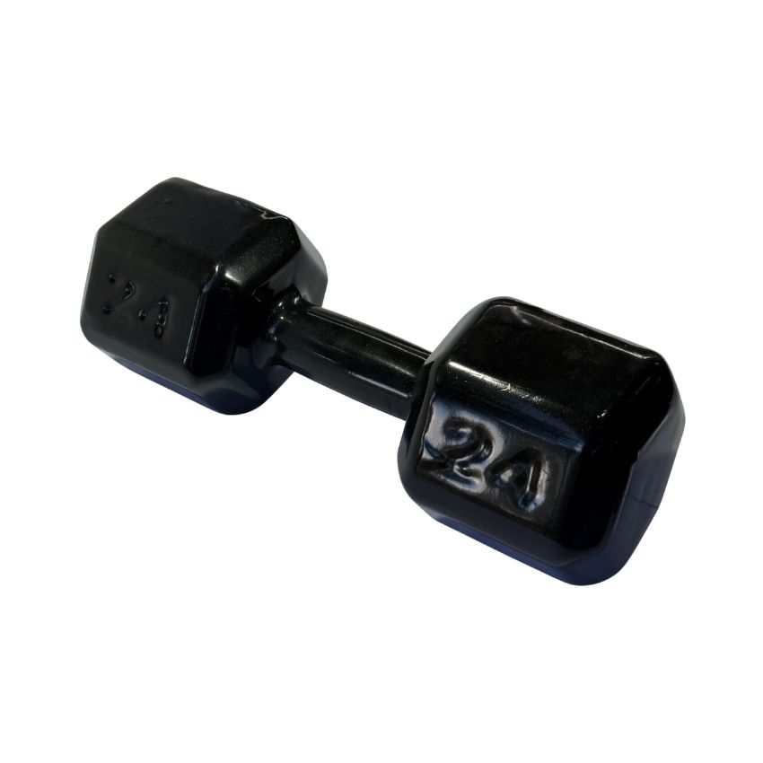 Halteres Sextavados de Ferro Fundido Emborrachados 24kg