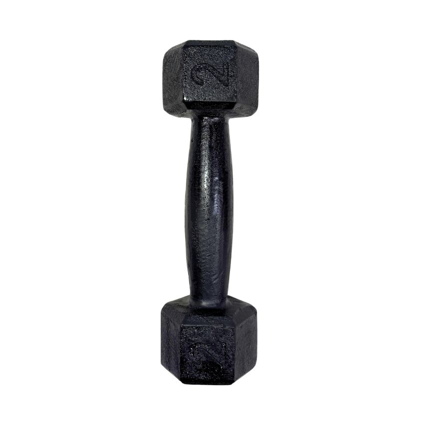 Halteres Sextavados de Ferro Fundido Pintados 2kg