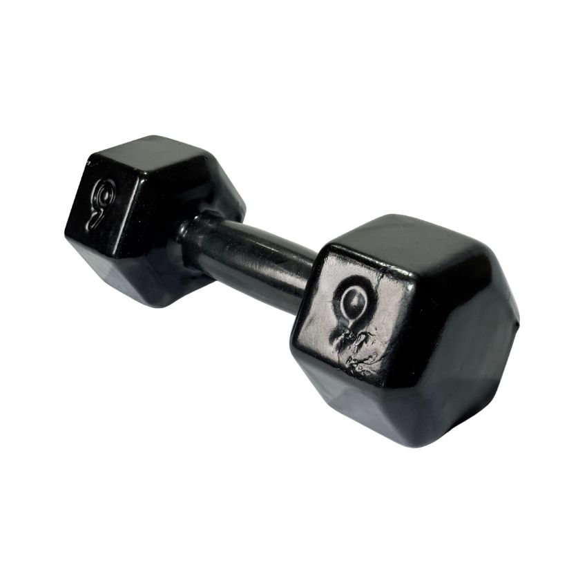 Halteres Sextavados de Ferro Fundido Emborrachados 9kg