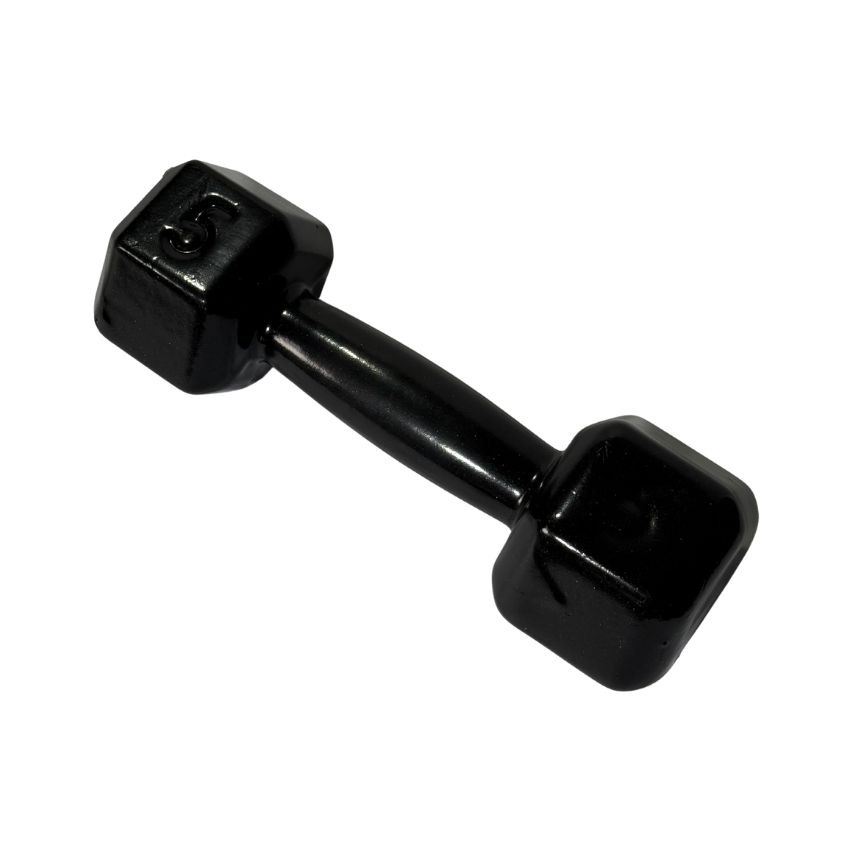 Halteres Sextavados de Ferro Fundido Emborrachados 5kg