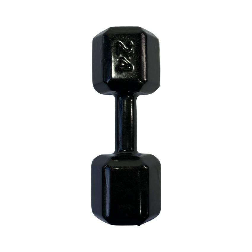 Halteres Sextavados de Ferro Fundido Emborrachados 24kg